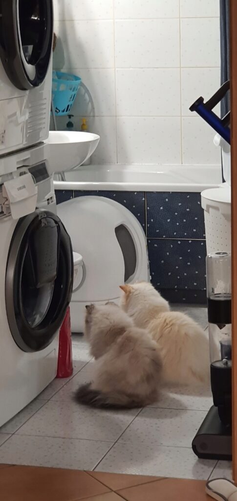 Obrazek #1 z Marta Kozłowska