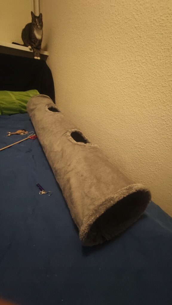 Obrazek #1 z Krzysztof